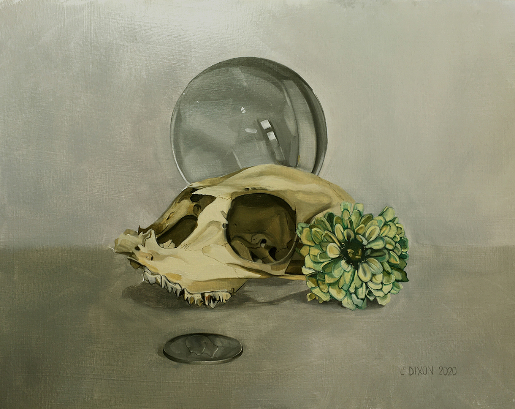 Skull Study with Coin, Crystal and Zinnia