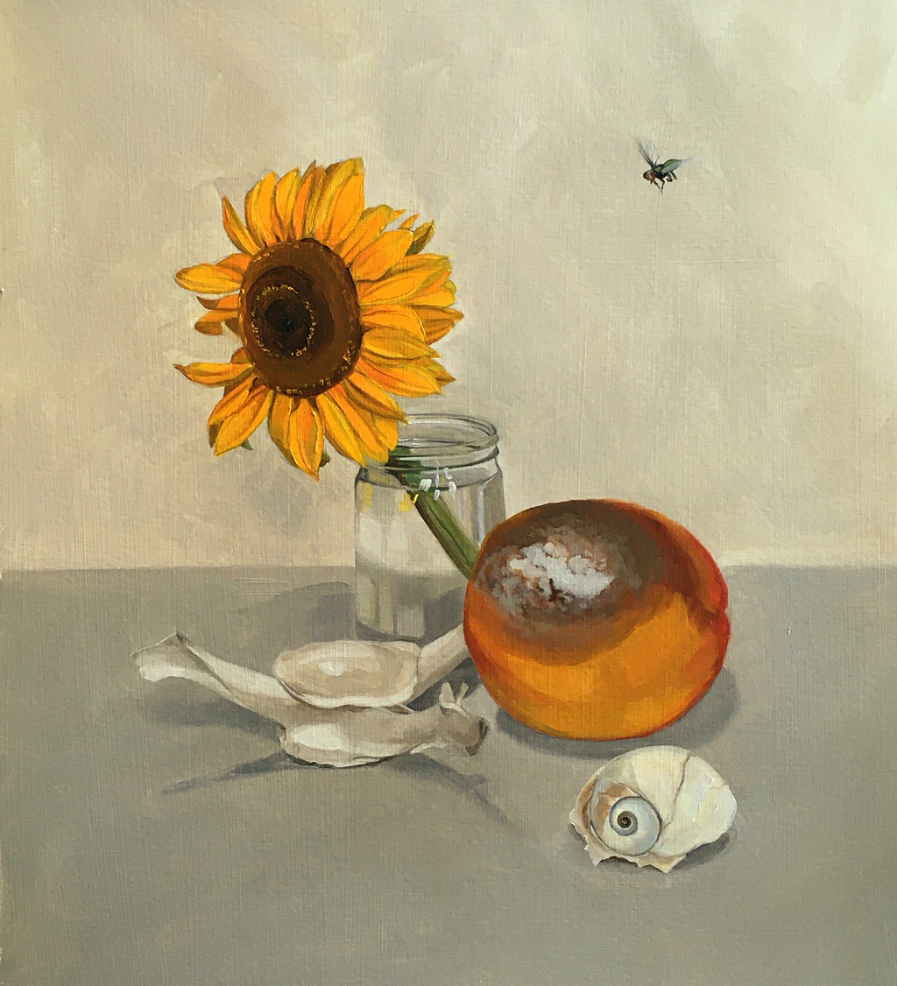 Sunflower Study with Peach, Vertebrae and Shell