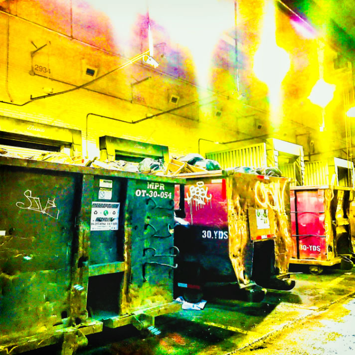 Dumpsters 1