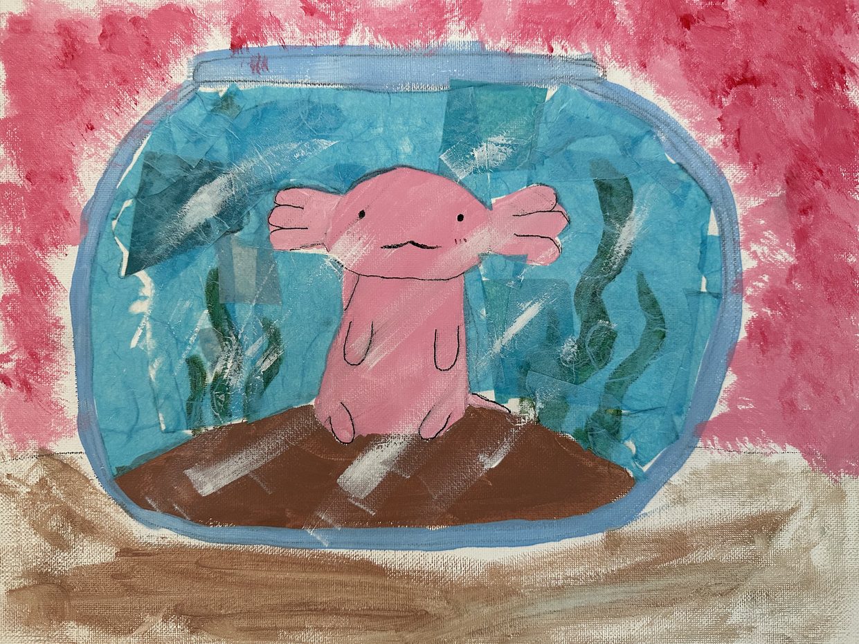 Axolotl in a bowl