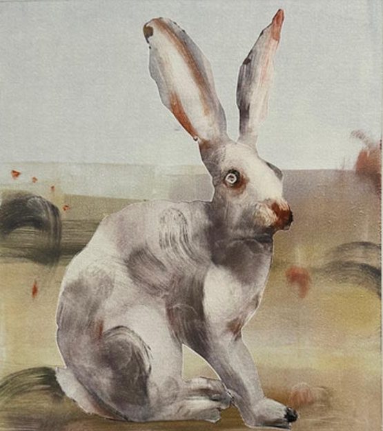 Arcadian Rabbit