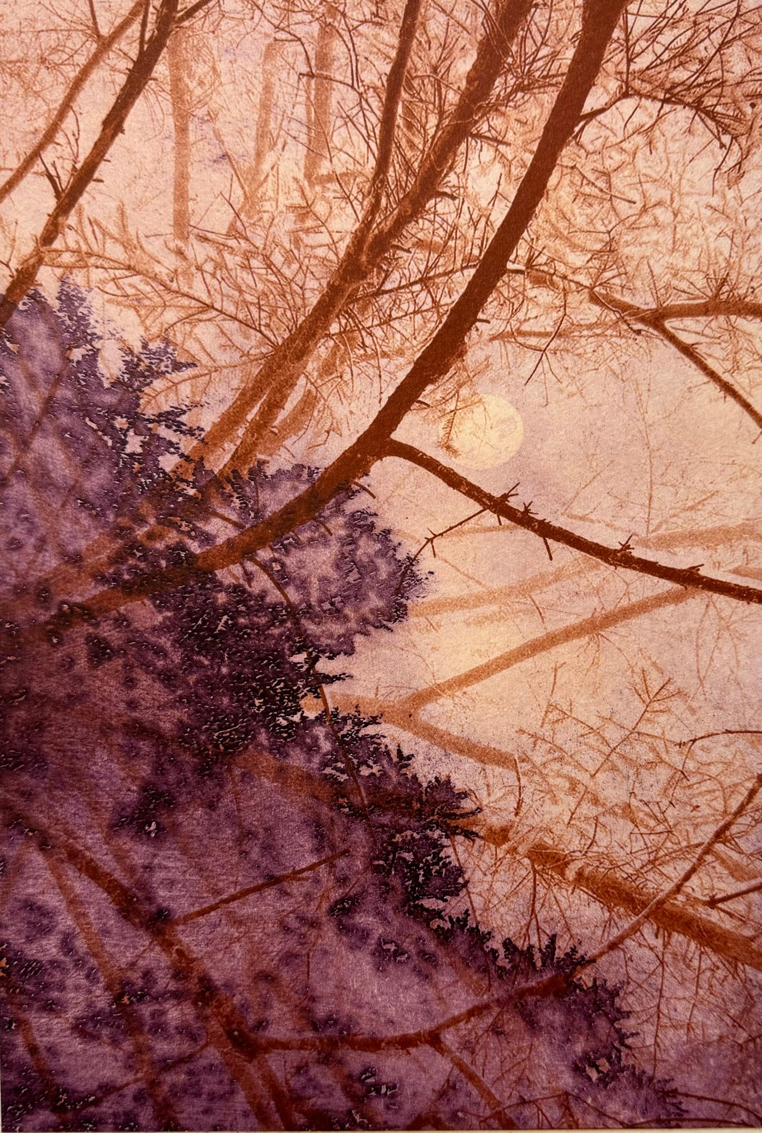 Spruce Moon