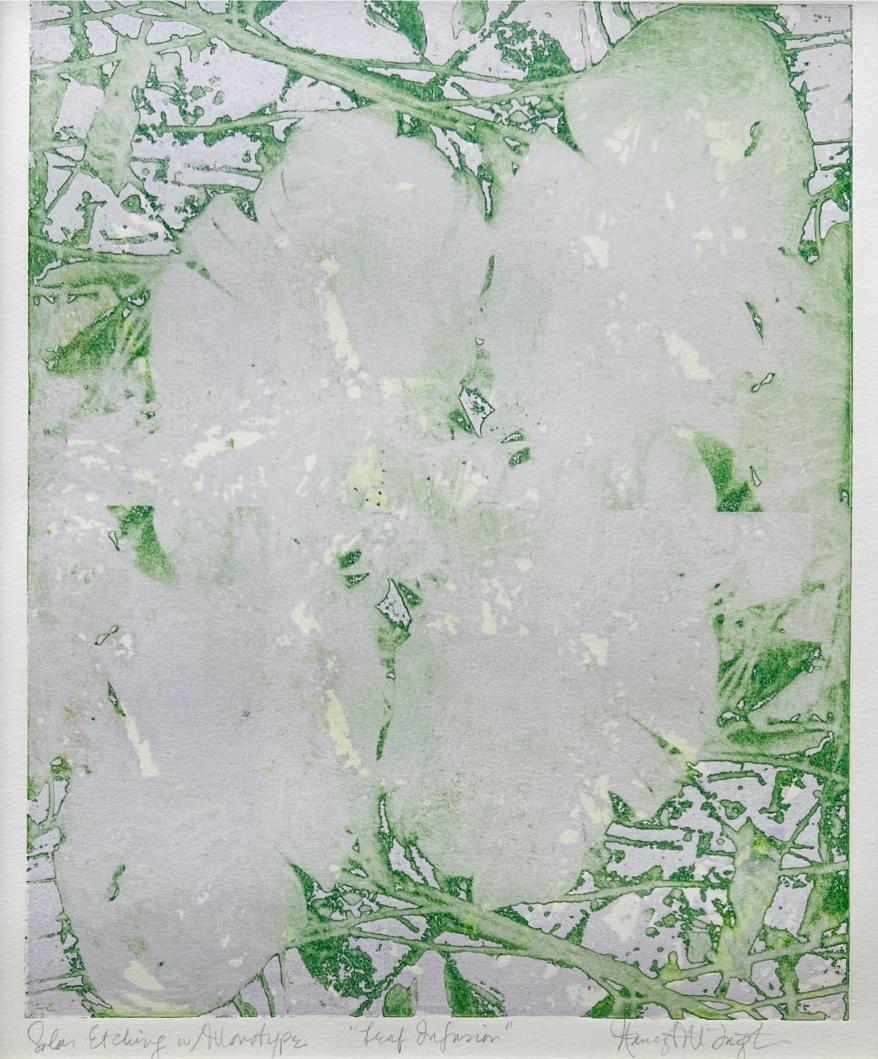 Leaf Infusion