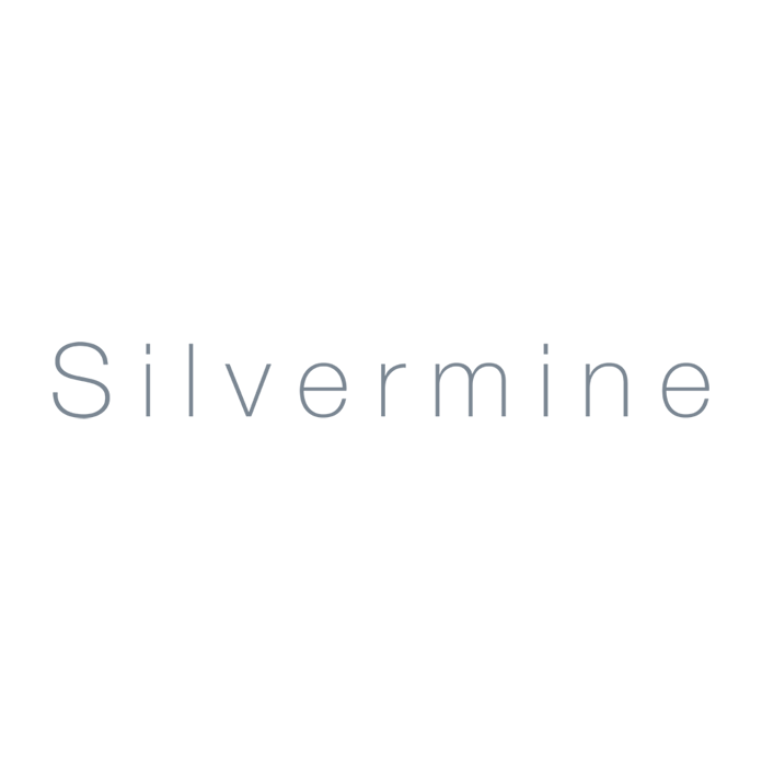 Silvermine Guild of Artists Inc logo